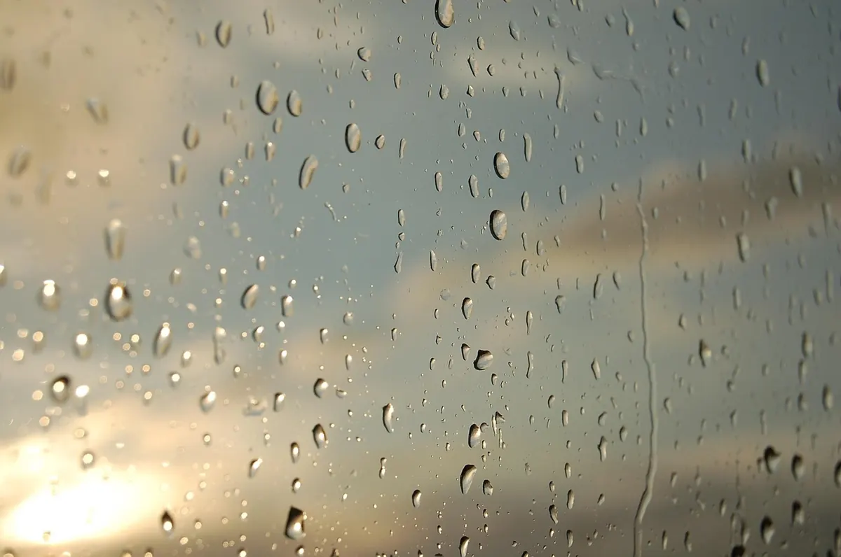 Rainy Day Coastal Activities: 15 Ideas for Wet Weather